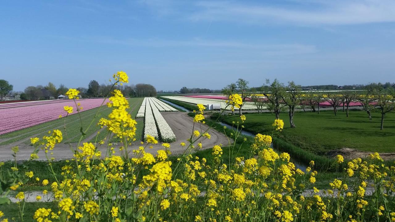 Vakantiehuis Duin Bos En Zee 슐 외부 사진
