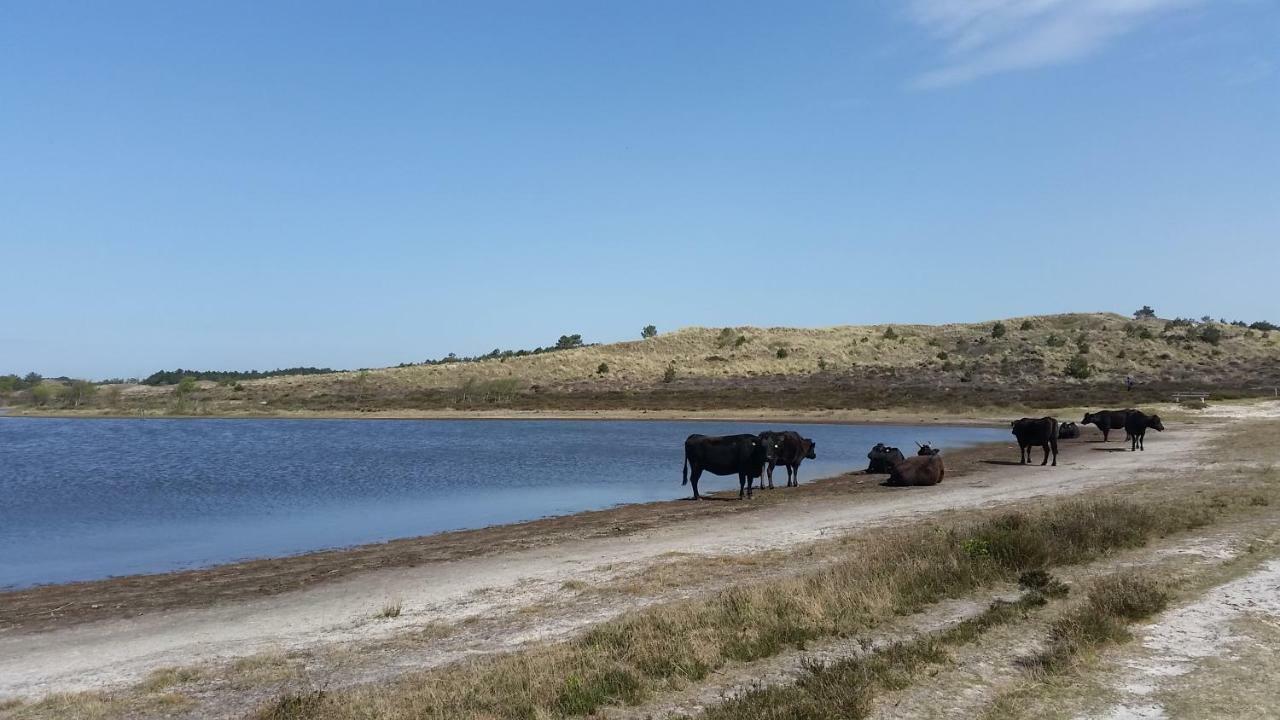 Vakantiehuis Duin Bos En Zee 슐 외부 사진