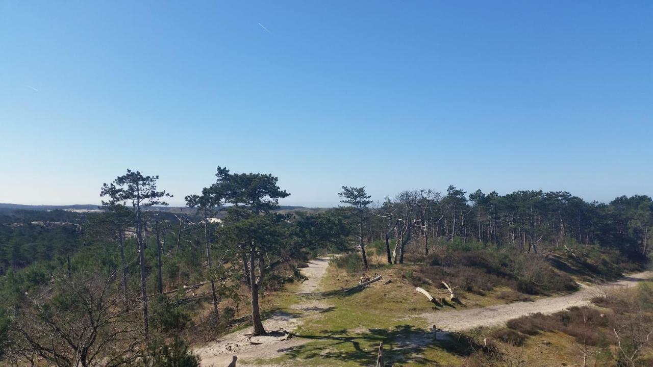 Vakantiehuis Duin Bos En Zee 슐 외부 사진